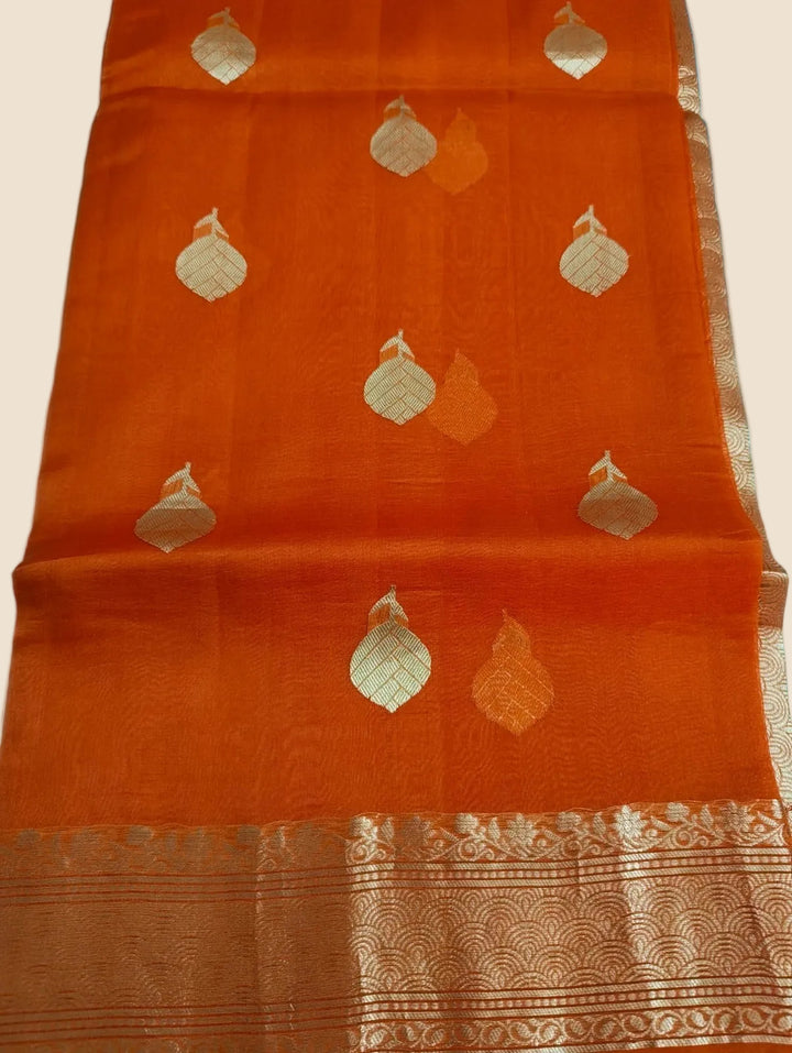 Orange saree with gold leaf patterns against a blue sky background