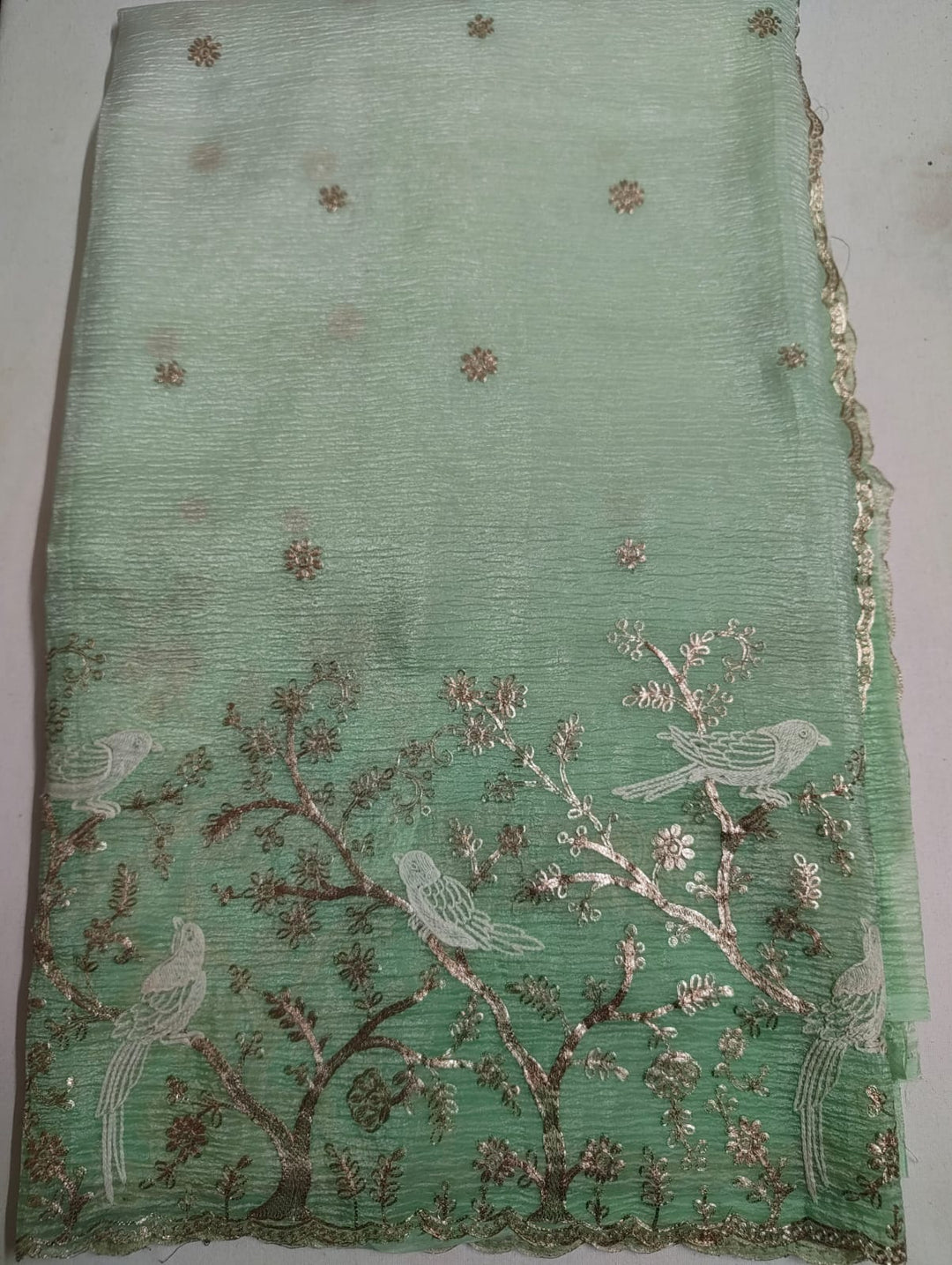 Mint Green Ombre Bird Motif Tissue Banarasi Saree